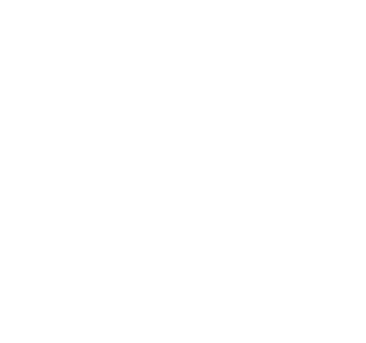 icon-website-old-white